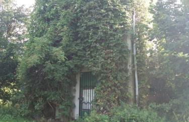 Ferienwohnung am Hochrhöner - Foto 19