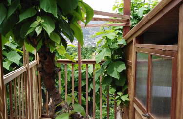 Six Steps From The Forest - Photo 74