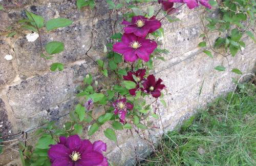 The Chairman's Retreat in The Cotswolds - Space To Relax in the Countryside - Foto 75