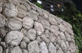 Frente ao Mar Living Aconchegante pet friendyr - Foto 2