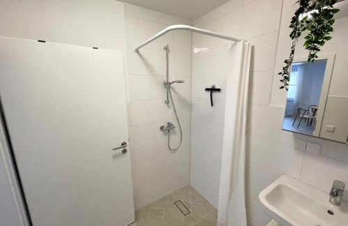 Zentrales Innenstadt Studio mit Garage - Foto 11