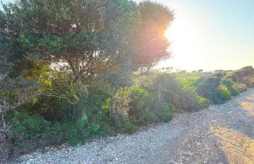 Traumhafte Familien-Ferienwohnung mit Dachterrasse & Pool - Foto 35