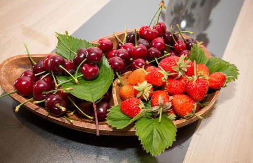 Stone house Oršulica - Photo 16