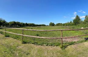 Huus-Ritter in Balje - Foto 12