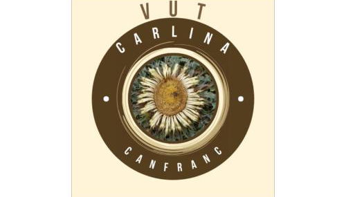 Carlina Canfranc - Foto 3