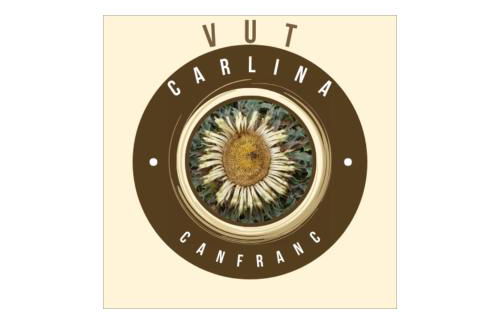 Carlina Canfranc - Foto 3