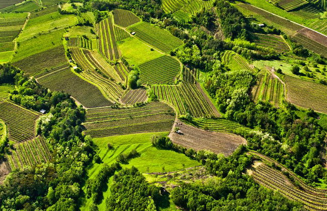 Visita alla Valle del Vipava - Tour privato di mezza giornata - Foto 1