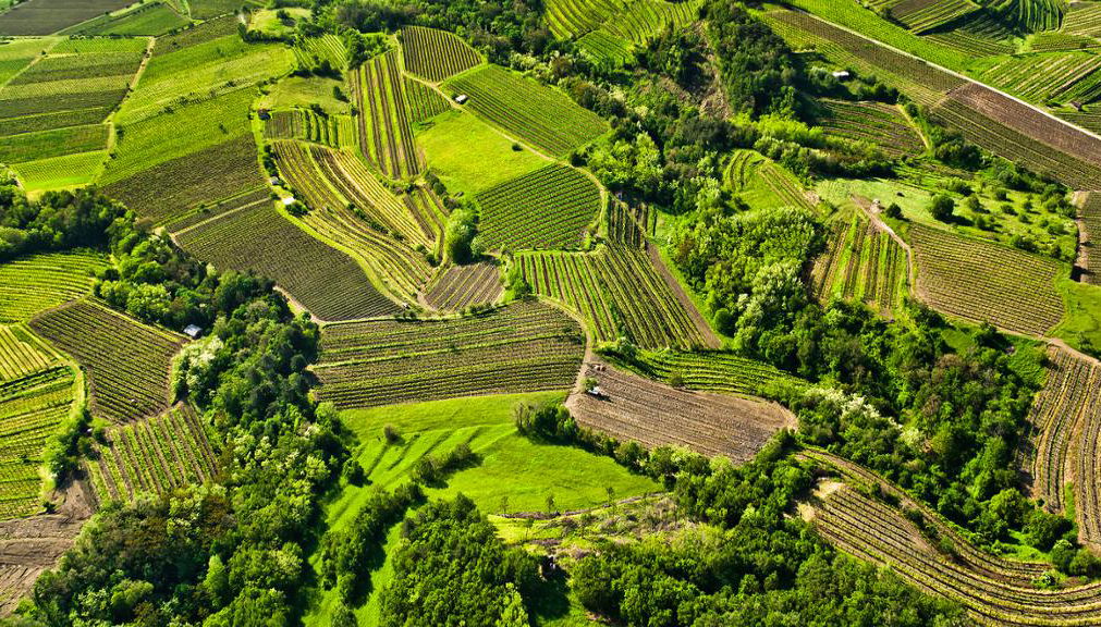 Visita alla Valle del Vipava - Tour privato di mezza giornata - Foto 1