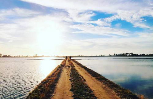 Looking at the Sea - Foto 12