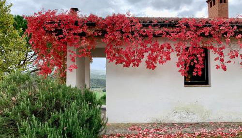 Podere I Massoni - Foto 5