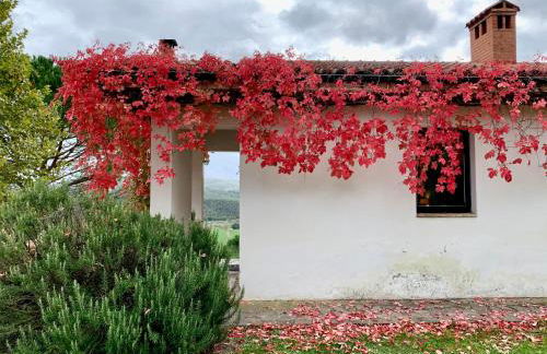 Podere I Massoni - Foto 5