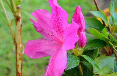 Residencial Portinari LTDA - Foto 62