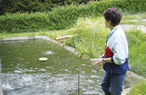 Ferienwohnung im Haus Christine - Foto 7