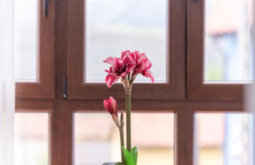 El Rincón de Andrín – Costa y Rural (Llanes) - Foto 22