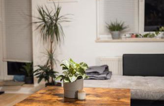 Ruhiges Apartment mit großem Balkon und Stellplatz - Photo 11