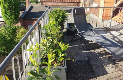 Ferienwohnung Brunnenstrasse - Foto 18