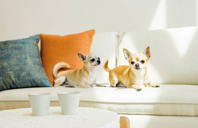 Rakuten STAY VILLA Yatsugatake - Foto 72