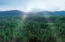 Suncadia Lodge Studio Unit - Foto 16