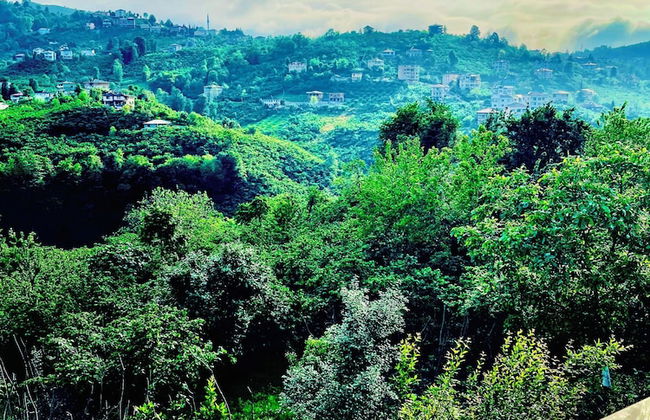 Five Stars Apart Bungalov - Foto 49