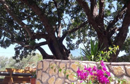 Apartments Ena - Foto 3