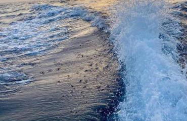 Il Sogno di Giorgio - Foto 30