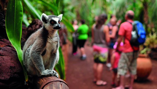 Oasis Wildlife Strongventura - Photo 5