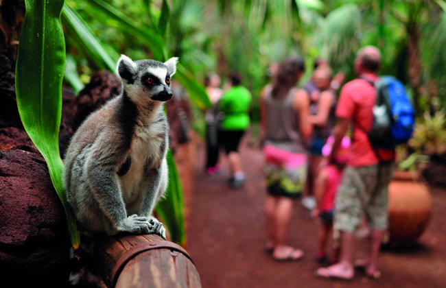 Oasis Wildlife Fuerteventura - Foto 5