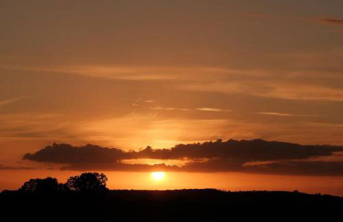 Gutshaus Zarchlin - Photo 10