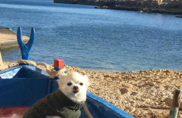 Villa Fontana - Foto 66