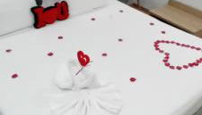 O Salgueiro - Foto 3