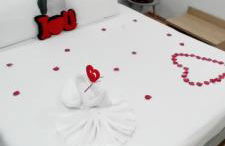 O Salgueiro - Foto 3