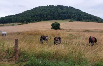 Ferienwohnung MW 1b 82m2 Höxter Weserbergland Weser inkl 2 Terrassen Wäsche und Endreinigung Self CheckIn - Foto 53
