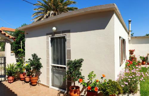 Repanidi Apartment D / Ρεπανίδι Διαμέρισμα Δ - Foto 36