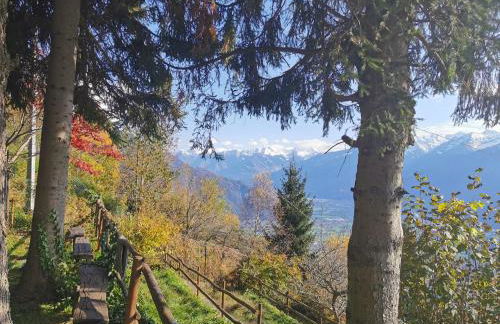 Casa Montilago - Foto 6