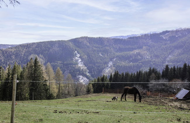 Kopphütte - Foto 54