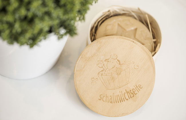 Platzhirsch Apart & Mayrhofen - Foto 45