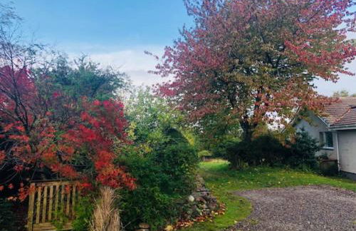 Home Comforts in Peaceful 2 Acres - Photo 42