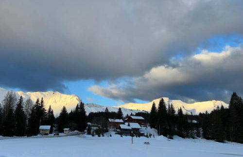 Appartement PRAZ DE LYS TMB - Foto 13