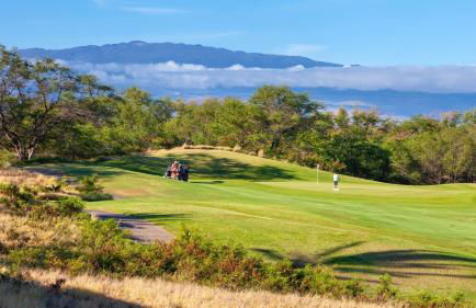 ❤PiH❤MAJESTIC OCEANOcean Views Stunning Mauna Kea Resort Best Beaches Bikes - Foto 29