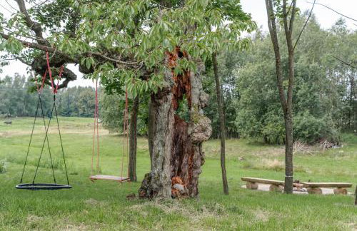 Vilanovka - domki z prywatną balią przy stawie i lesie - Foto 53