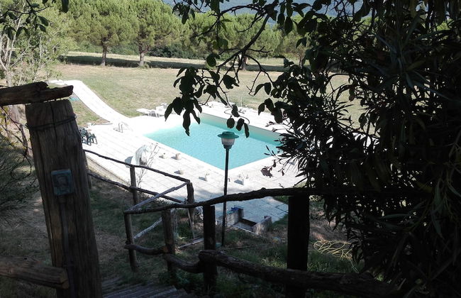 Fattoria di Cintoia - Photo 49