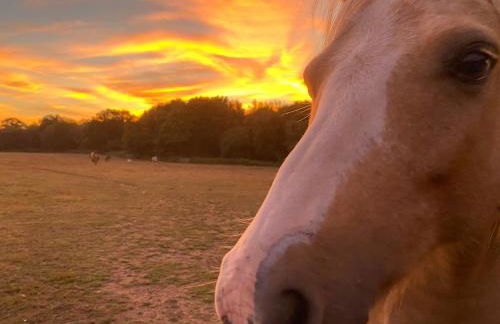 Hillside Farm Barn Apartments - Photo 73