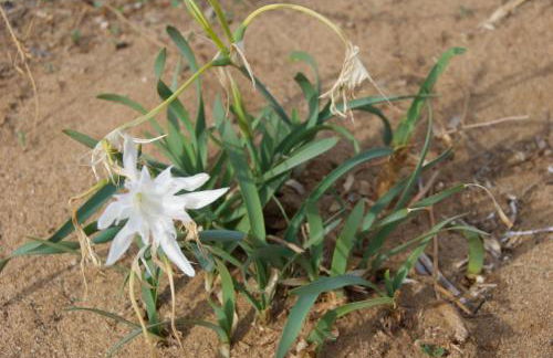 Santo Mercurio Country House - Foto 56