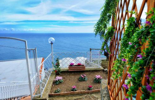 Chez Amélie - Foto 27