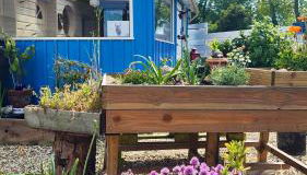 la petite maison en bois bleue - Foto 5