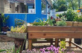 la petite maison en bois bleue - Foto 5