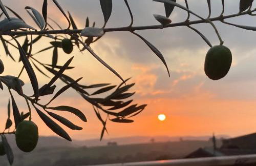 Lavender cottage - Foto 30