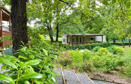 Tenuta Montebello - Foto 6