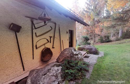 Ferienwohnungen Kremser bei Spiegelau Eppenschlag - Foto 43