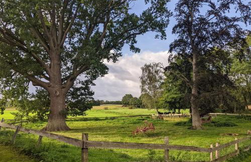 Ferienhaus Waldschlösschen - Foto 13